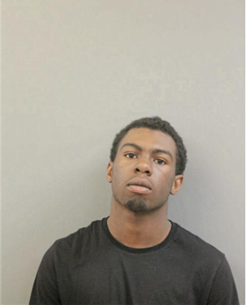 TYLER J STINNETT, Cook County, Illinois