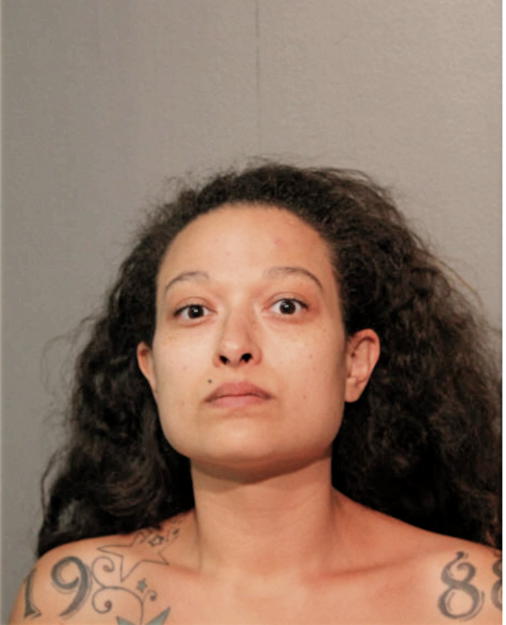 JANESSA M THIEL, Cook County, Illinois