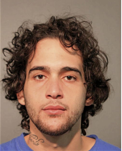 RAUL A VEGA, Cook County, Illinois