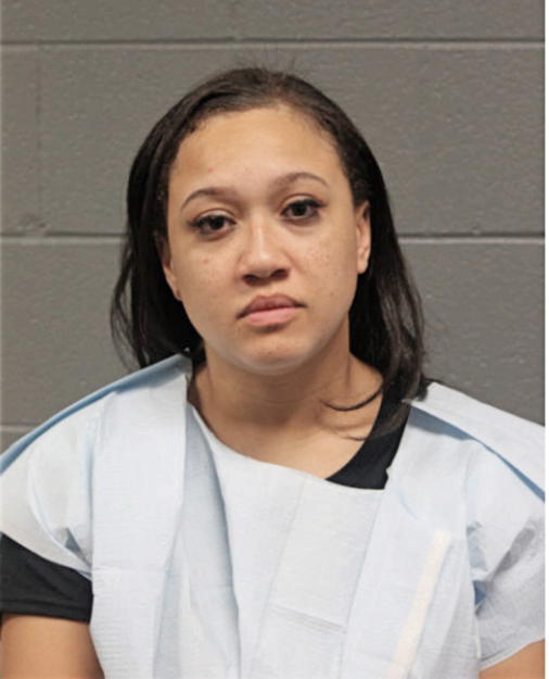 ASHLEIGH L BINGHAM, Cook County, Illinois