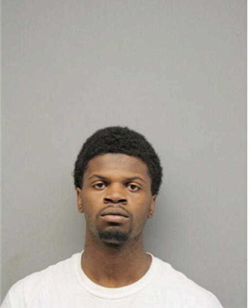 ROBERT M DAVIS, Cook County, Illinois
