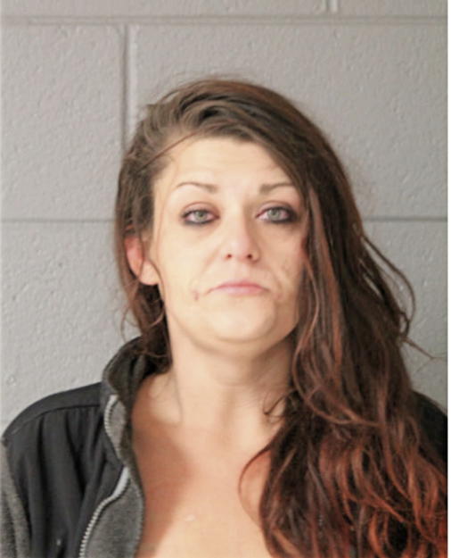 MICHELLE A DOLEHIDE, Cook County, Illinois