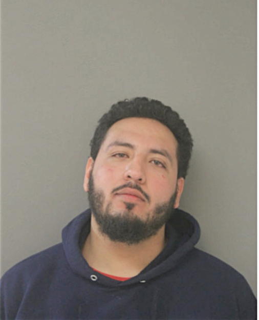 FERNANDO H FLORES, Cook County, Illinois