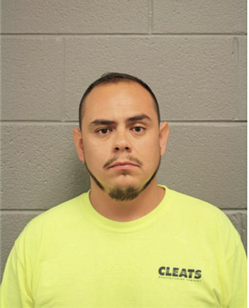 JORGE FLORES, Cook County, Illinois