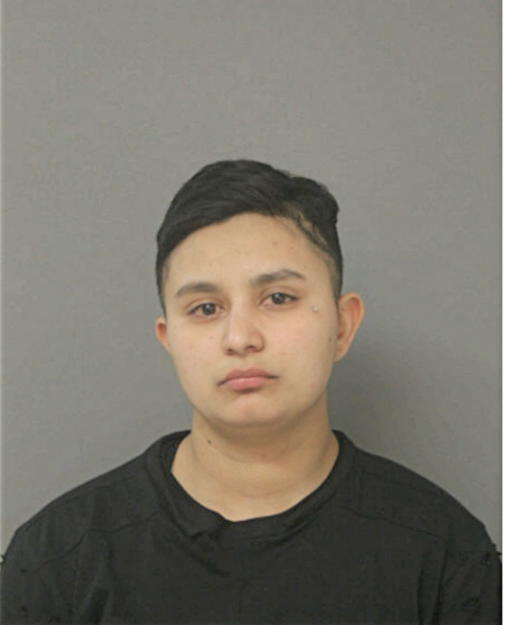 DALILA M GARCIA, Cook County, Illinois