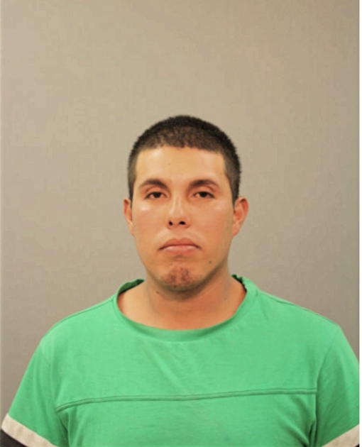 JUAN A HERNANDEZ, Cook County, Illinois