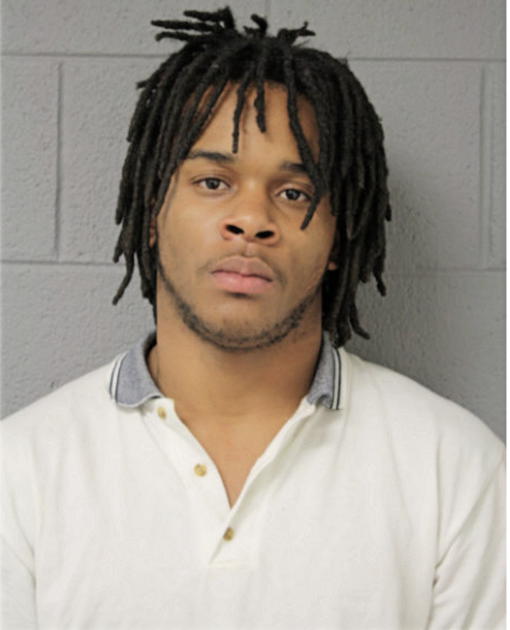 DION D LEWIS, Cook County, Illinois
