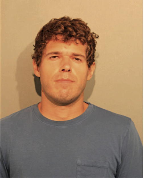DAVID J MIKOLAJCZYK, Cook County, Illinois