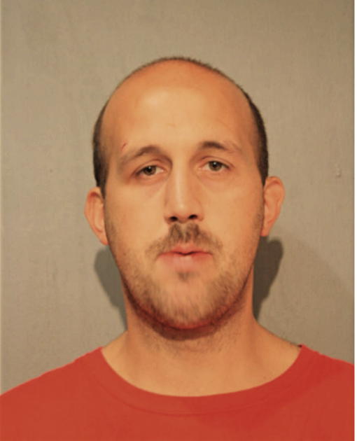 JUSTIN E MORELAND, Cook County, Illinois