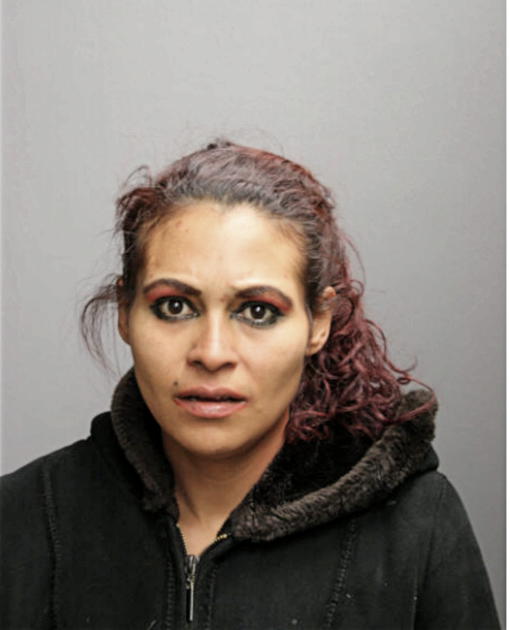 MANIS NUNEZ, Cook County, Illinois