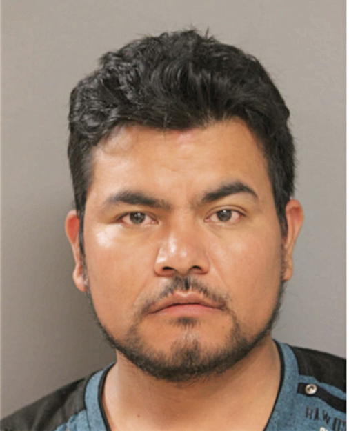 RAYMOND ORTEGA-HERNANDEZ, Cook County, Illinois