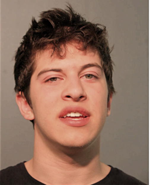 JOSE L PAREDES, Cook County, Illinois