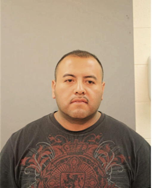 JOSE L RAMIREZ, Cook County, Illinois