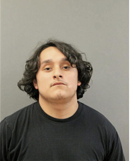 LUIS D RETEGUIN, Cook County, Illinois