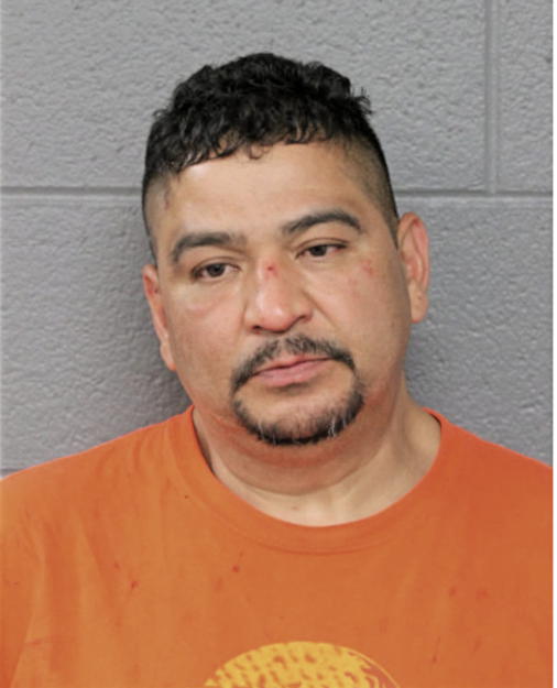 ROMAN TERRAZAS, Cook County, Illinois