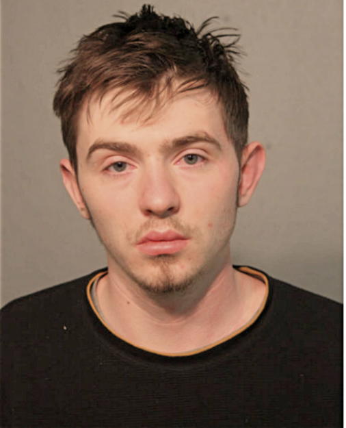 JACOB D VELDE, Cook County, Illinois