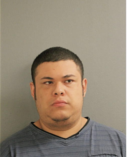 SERGIO J ALVAREZ, Cook County, Illinois