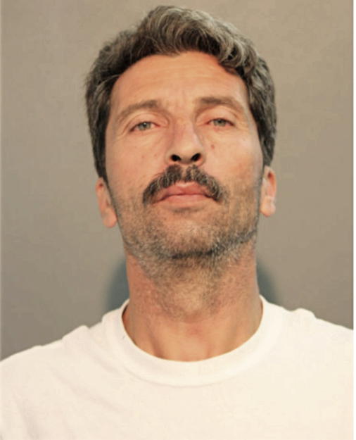 ZEBIULLAH AMIRI, Cook County, Illinois