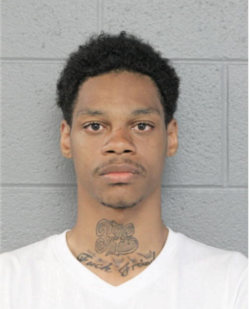 DONYELL A AUSTIN, Cook County, Illinois