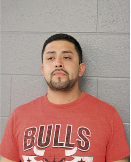LUIS R DAVILA, Cook County, Illinois