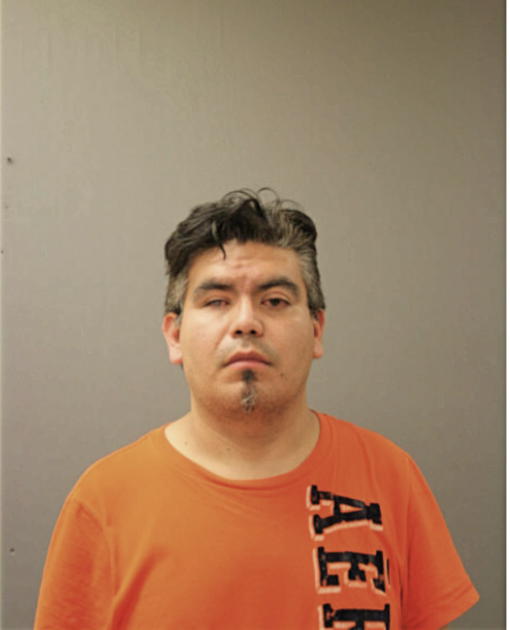 JOEL DELGADO, Cook County, Illinois