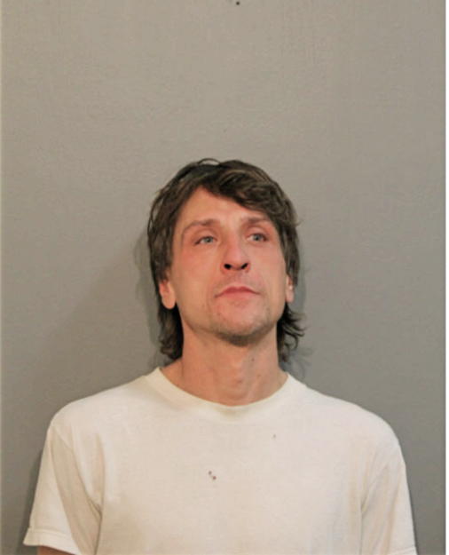 DUSAN D DOBRIC, Cook County, Illinois