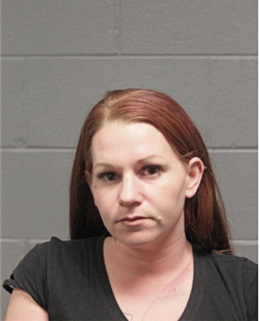 TAMMY E HAMILTON, Cook County, Illinois