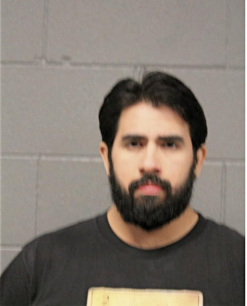 LUIS J MORALES, Cook County, Illinois