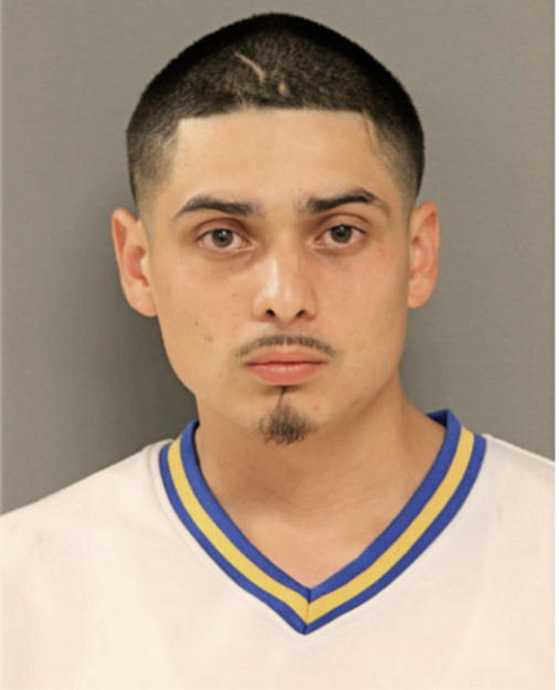 JOSE G PATINO, Cook County, Illinois
