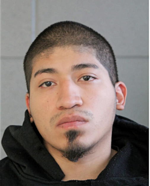 ARMANDO B RAMOS, Cook County, Illinois