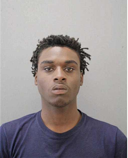 NOVAJAH J RINGGOLD, Cook County, Illinois