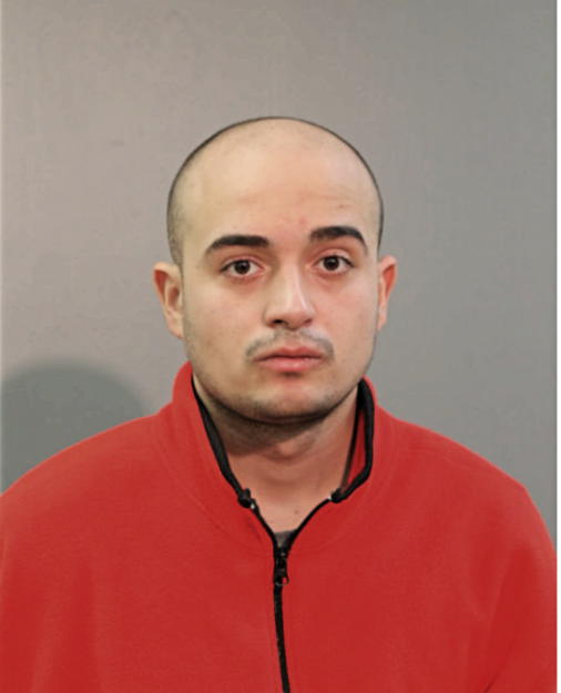 LUIS M RODRIGUEZ, Cook County, Illinois