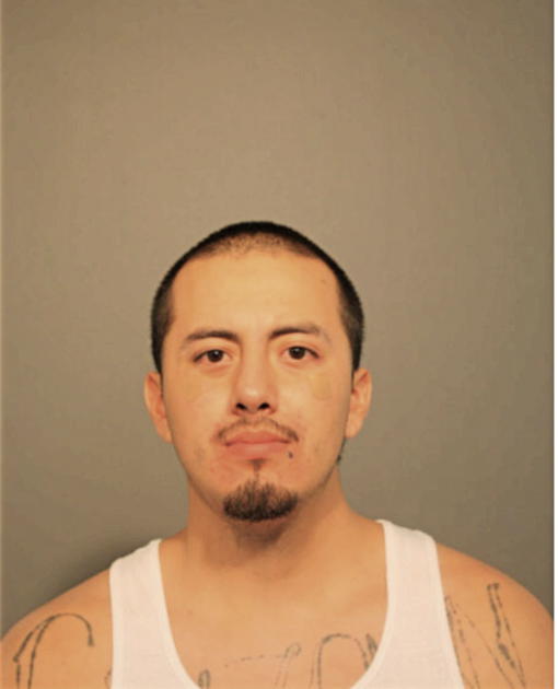 JULIO ROJAS, Cook County, Illinois