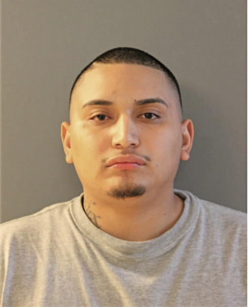 VICTOR A SANJUANERO, Cook County, Illinois
