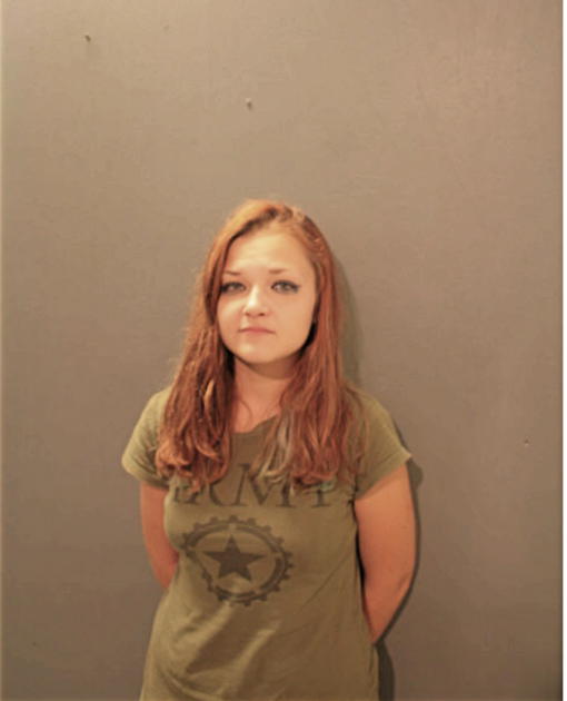 NIKKI A SCHAEFER, Cook County, Illinois