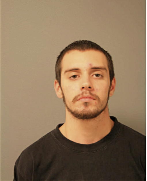 WILLIAM H SHANNON, Cook County, Illinois