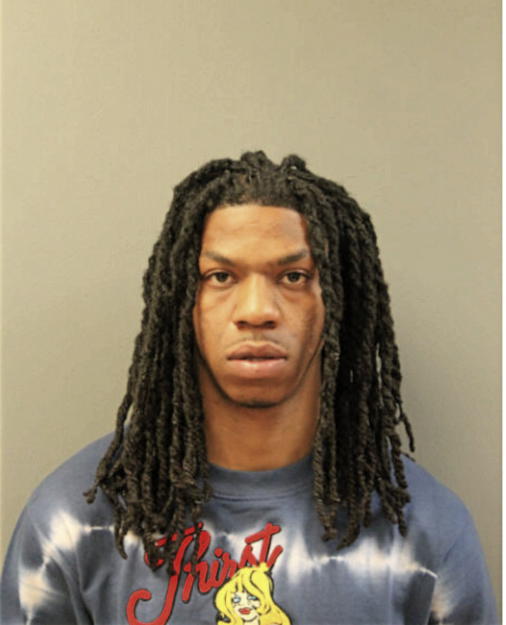 AARON J SNEED, Cook County, Illinois