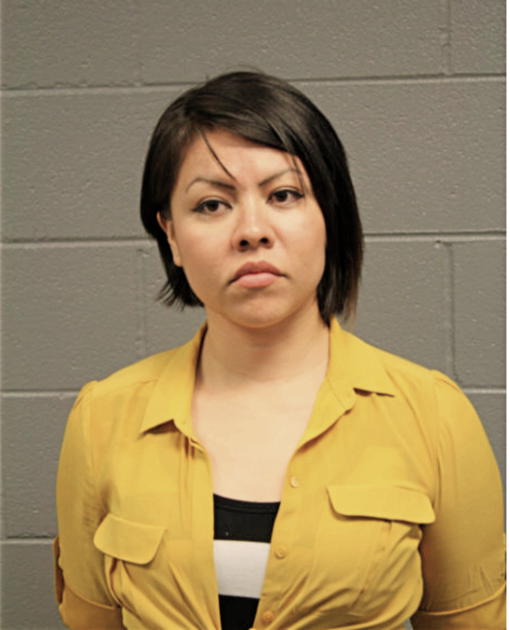 LINDSAY L TERRAZAZ, Cook County, Illinois
