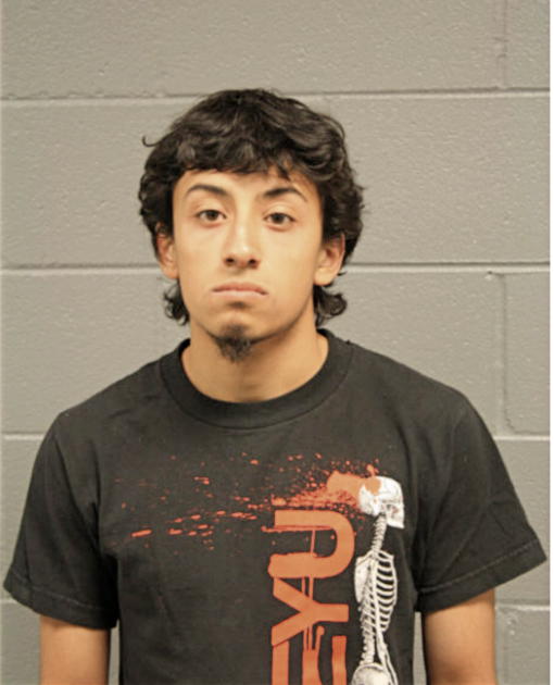 NICHOLAS VASQUEZ, Cook County, Illinois