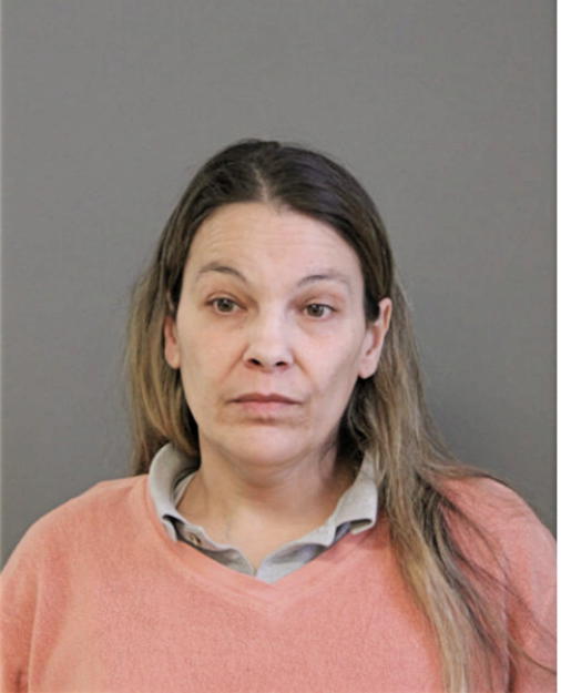 DEBBIE L VILLAFANE, Cook County, Illinois