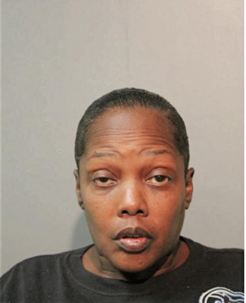 MICHELLE T WARREN, Cook County, Illinois