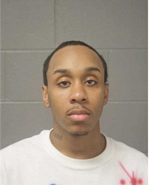 STEVEN D DOTSON, Cook County, Illinois