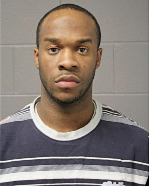 ADEYEMI B FANEWO, Cook County, Illinois