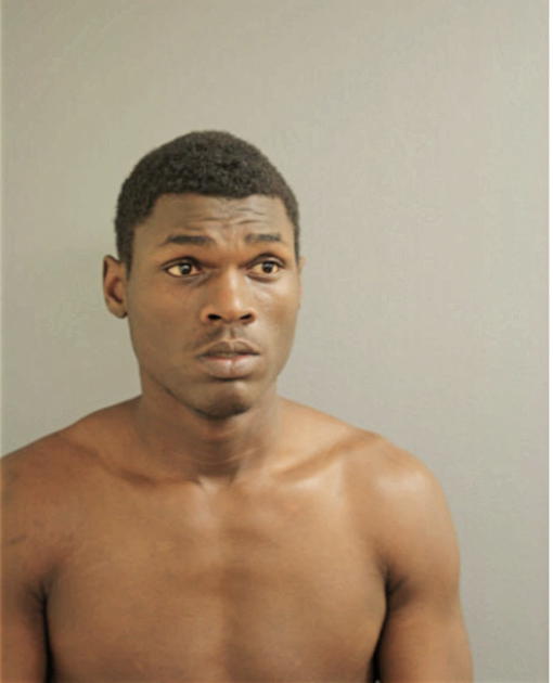 JERRY J HARRIS, Cook County, Illinois
