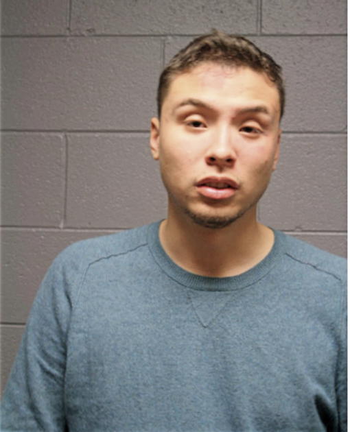 KEVIN F ISAAC, Cook County, Illinois