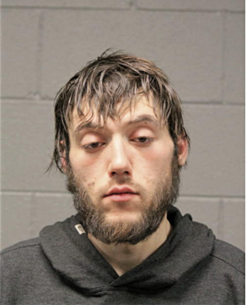 SILVAN KRZALIC, Cook County, Illinois