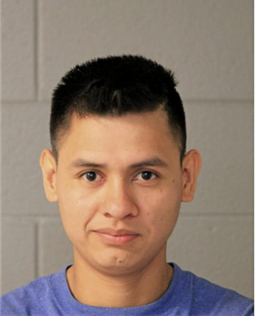 WILSON L CORTES, Cook County, Illinois