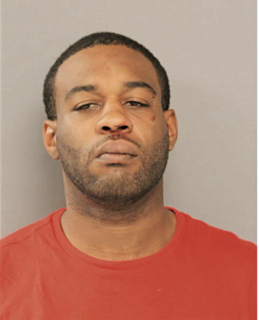CHRISTOPHER L MCGEE, Cook County, Illinois