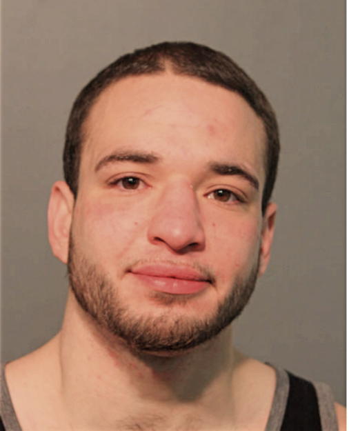 TONY MEDINA, Cook County, Illinois