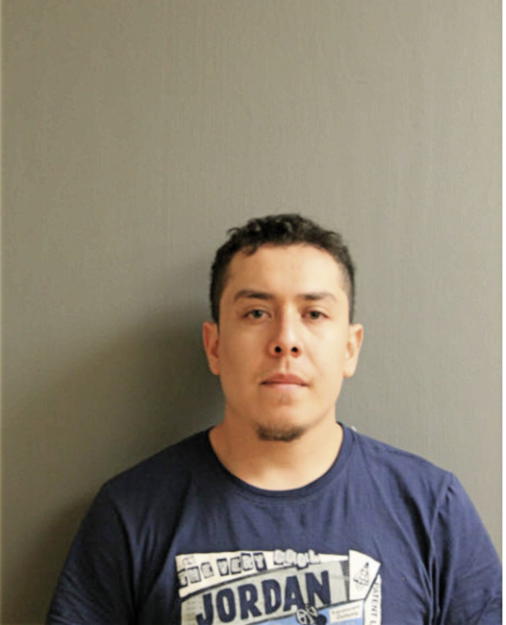 LUIS ADRIAN MEJIA-ARAUJO, Cook County, Illinois